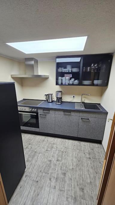 Am Schwanenteich Apartment Bad Klosterlausnitz